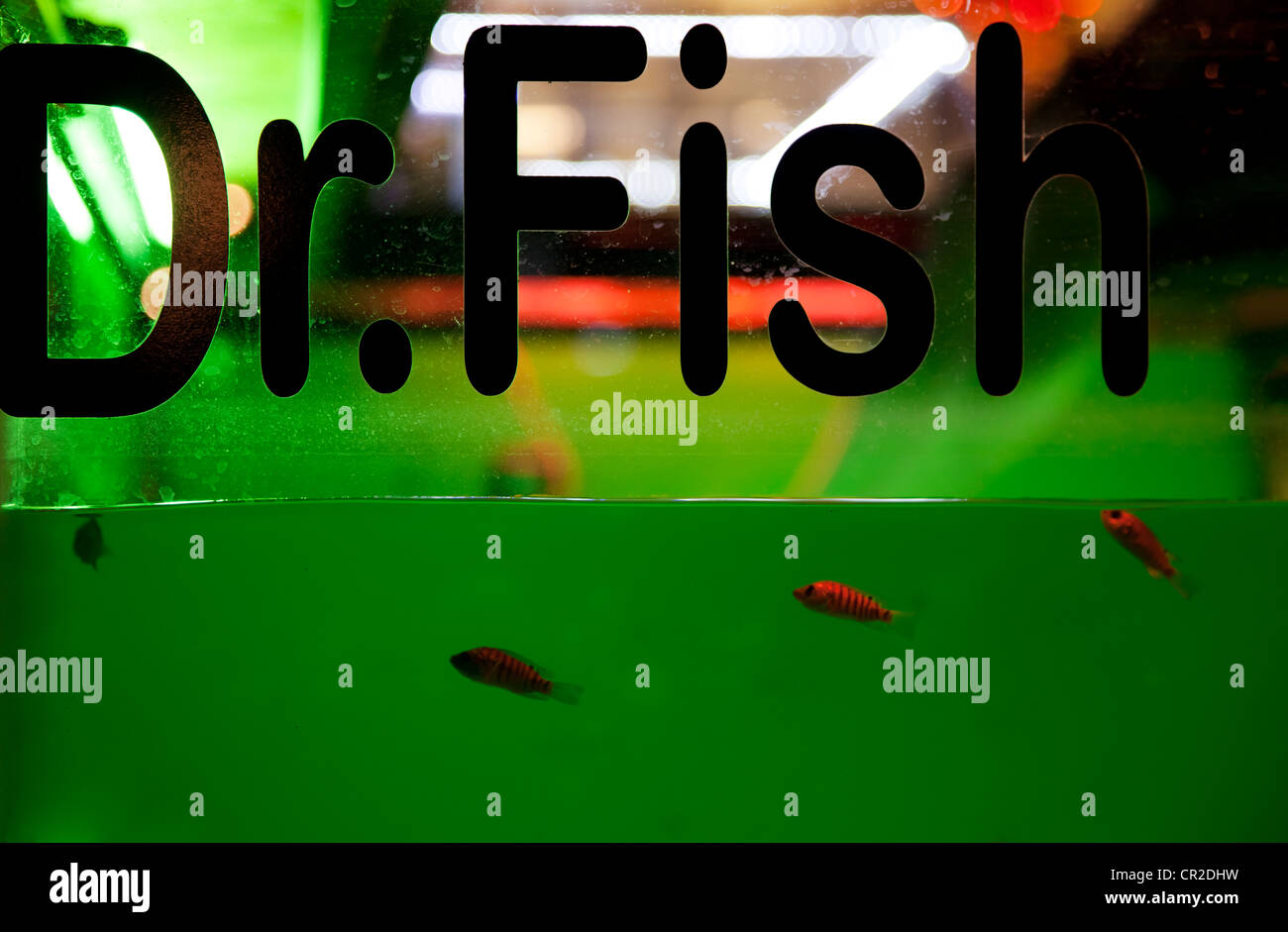 Pesce spa Foto Stock