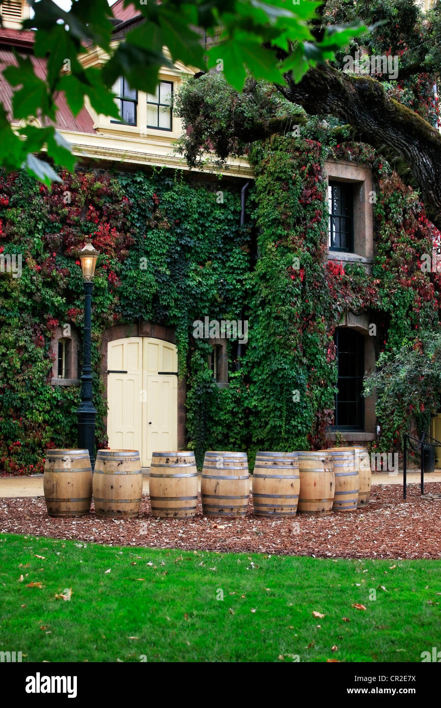 Napa Valley vineyard, California Foto Stock