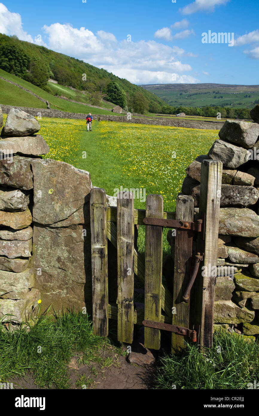 Cancello di legno, muri di pietra asciutti. Diritto pubblico di strada per escursionisti e ramblers in terreni agricoli, North Yorkshire Dales Meadows , Gunnerside Yorkshire Dales, Regno Unito Foto Stock