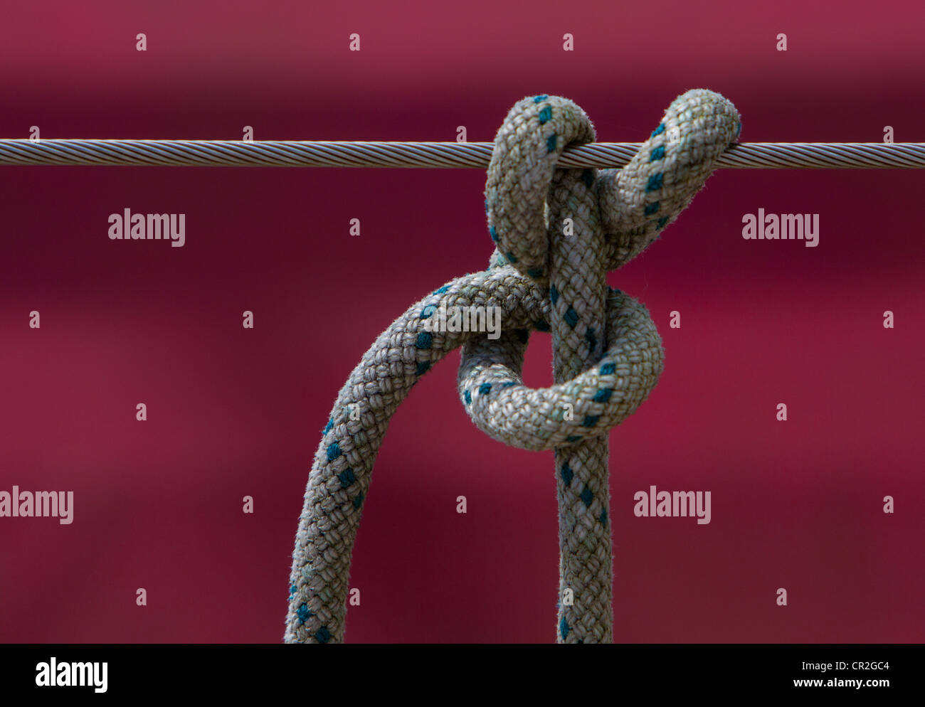 I parafanghi Nodo marino Foto Stock