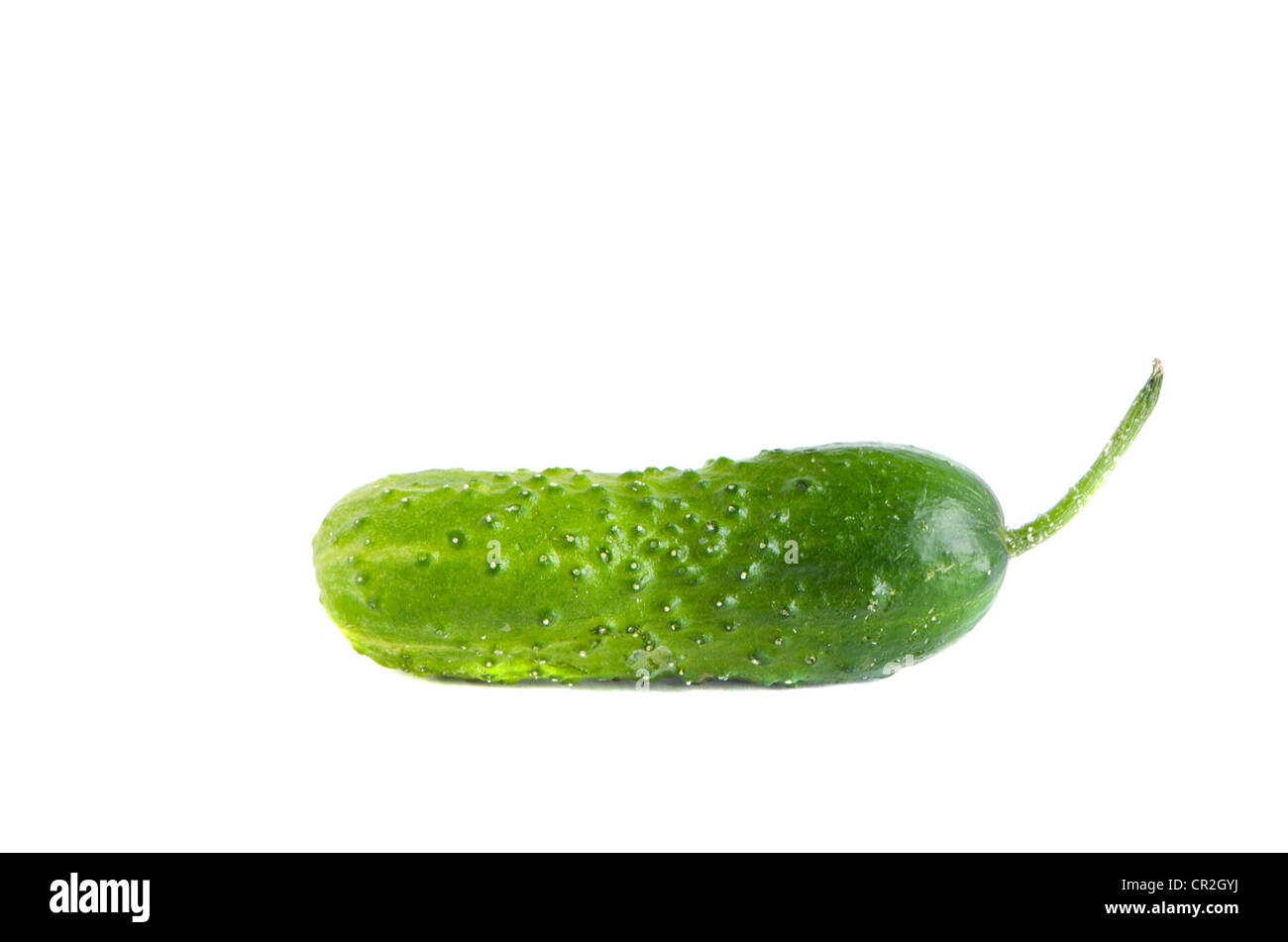 Cetriolo verde isolato su sfondo bianco. Sano e naturale vegetale dieta nutrizione. Foto Stock