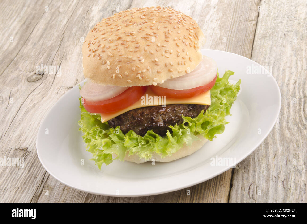 Fatta in Casa hamburger su una piastra bianca Foto Stock