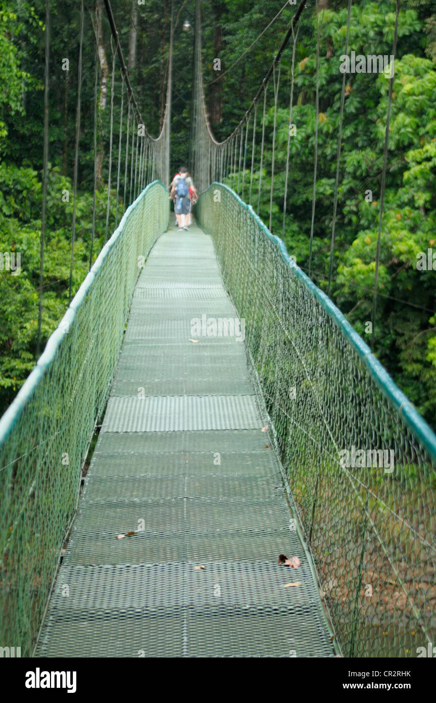 Attraversamento di un fiume nella foresta pluviale su un cavo sospeso bridge Foto Stock