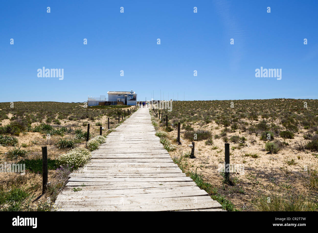 Il Boardwalk giù per Praia do Ancao Ancao (spiaggia), vicino a Quinta do Lago, Algarve, PORTOGALLO Foto Stock