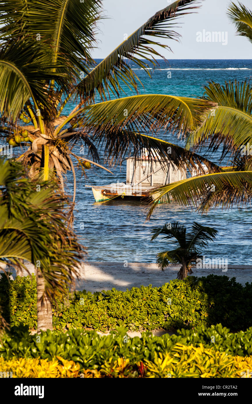 Ambergris Caye - Sand Pedro, Belize derelitti barca spiaggia off Foto Stock