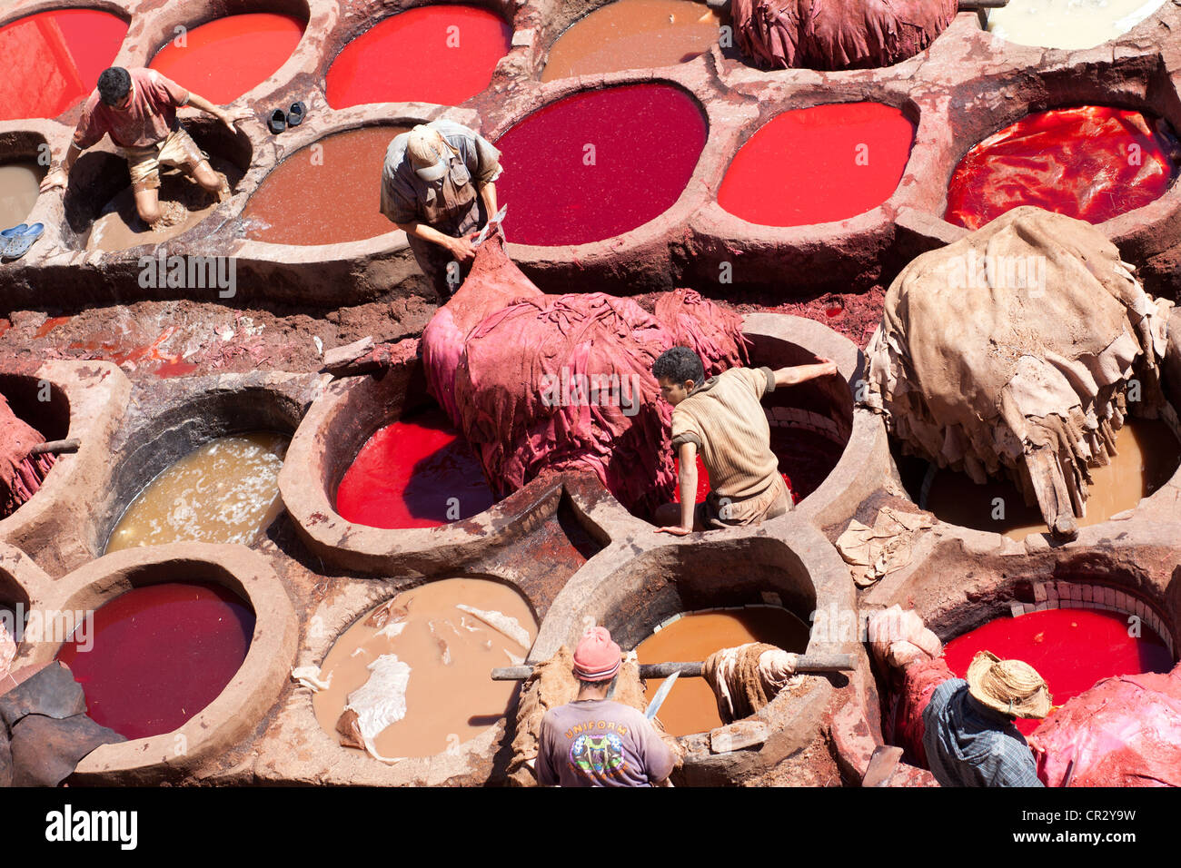 Tintura di cuoio, distretto di colorante, Medina o il centro storico della città, sito Patrimonio Mondiale dell'UNESCO, Fes o Fez in Marocco, Africa Foto Stock