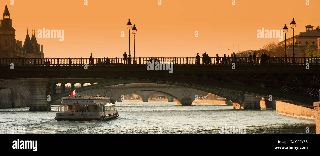 Francia, Parigi, le rive della Senna Patrimonio Mondiale UNESCO, Notre Dame Bridge Foto Stock