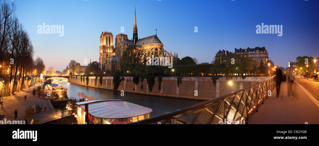 Francia, Parigi, le rive della Senna Patrimonio Mondiale UNESCO, Ile de la Cite, la cattedrale di Notre Dame Foto Stock