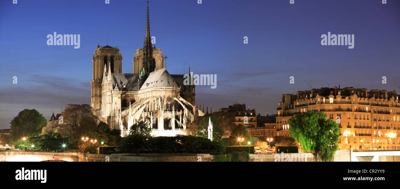 Francia, Parigi, le rive della Senna Patrimonio Mondiale UNESCO, Ile de la Cite, la cattedrale di Notre Dame Foto Stock