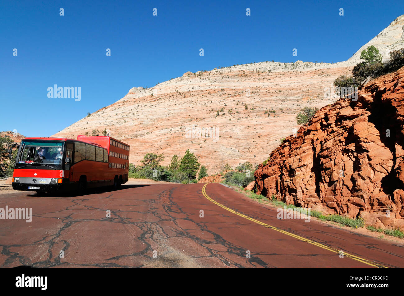 Rotel pullman, hotel di rotolamento, vicino Checkerboard Mesa, arenaria, le formazioni rocciose del Parco Nazionale Zion, Utah, Stati Uniti d'America, America del Nord Foto Stock
