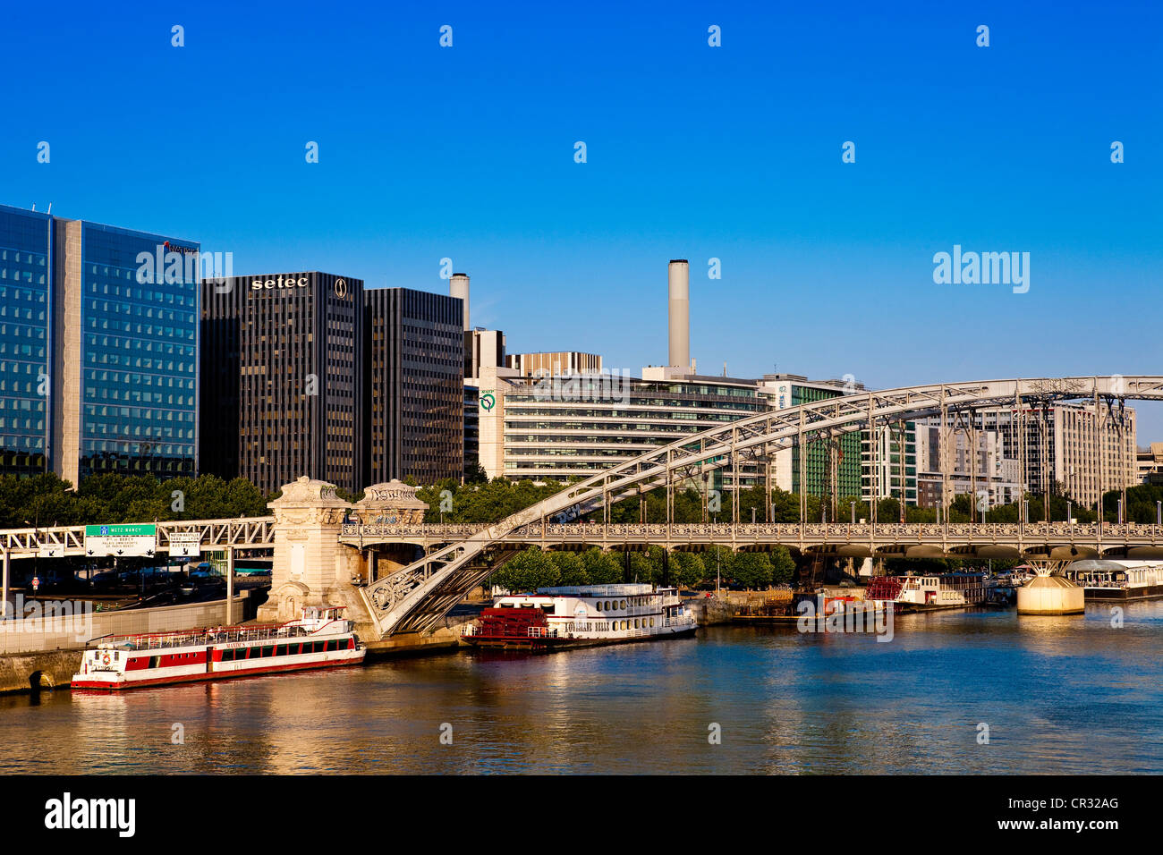 Francia, Parigi, il ponte della metropolitana e la stazione ferroviaria Gare de Lyon area Sulle rive della Senna Foto Stock