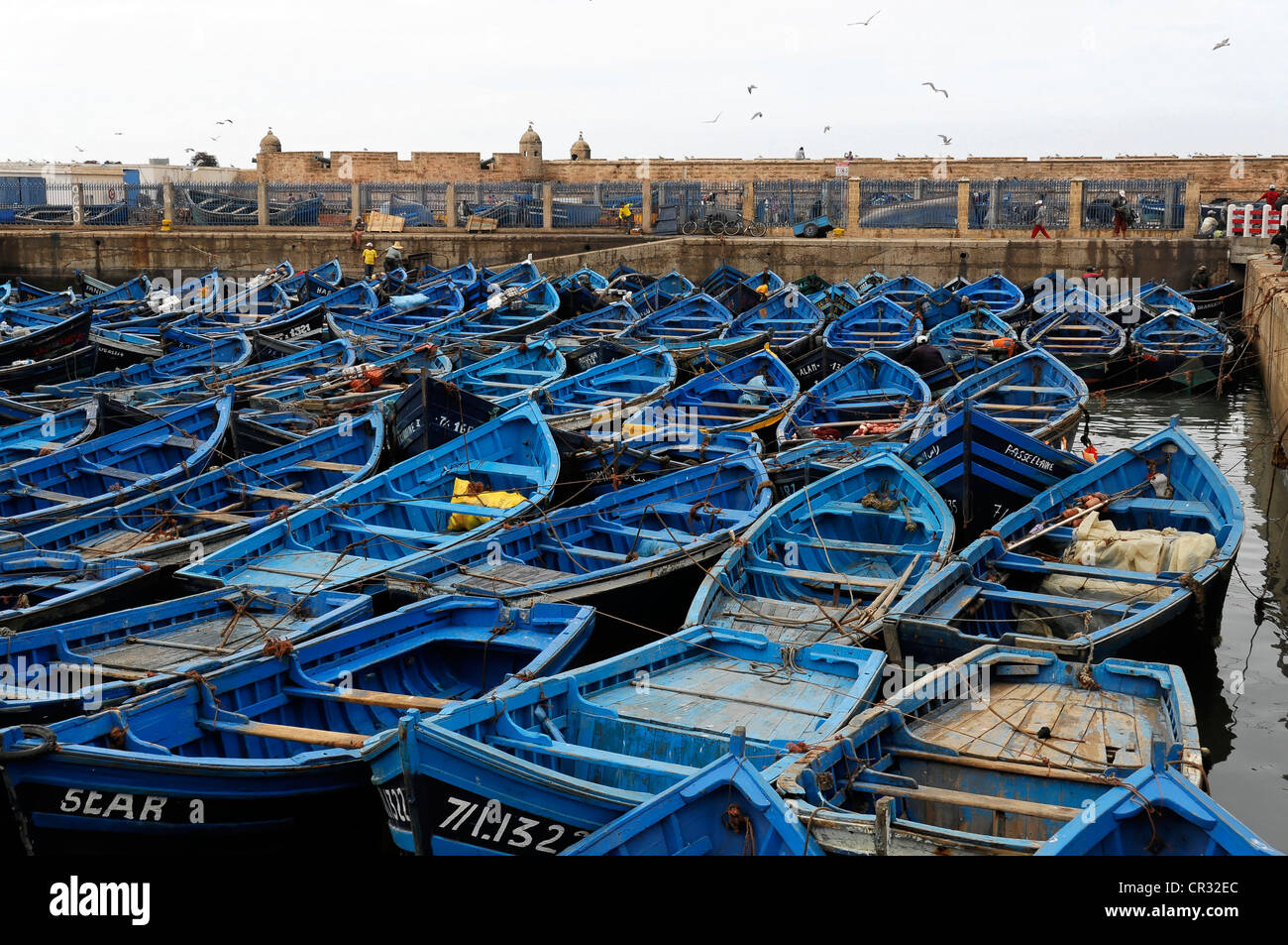 Tipico blu barche da pesca nel porto di Essaouira, Marocco, Africa Foto Stock