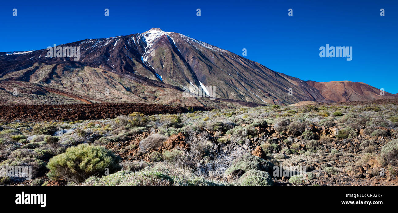 Vulcano Teide nel Parco Nazionale del Teide, sito Patrimonio Mondiale dell'UNESCO, Tenerife, Isole Canarie, Spagna, Europa Foto Stock