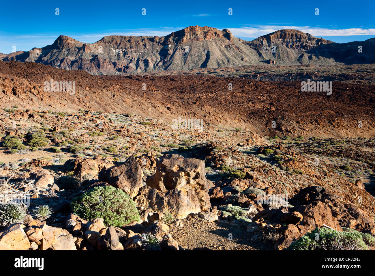 Il cratere nel paesaggio del Parco Nazionale del Teide, sito Patrimonio Mondiale dell'UNESCO, Tenerife, Isole Canarie, Spagna, Europa Foto Stock