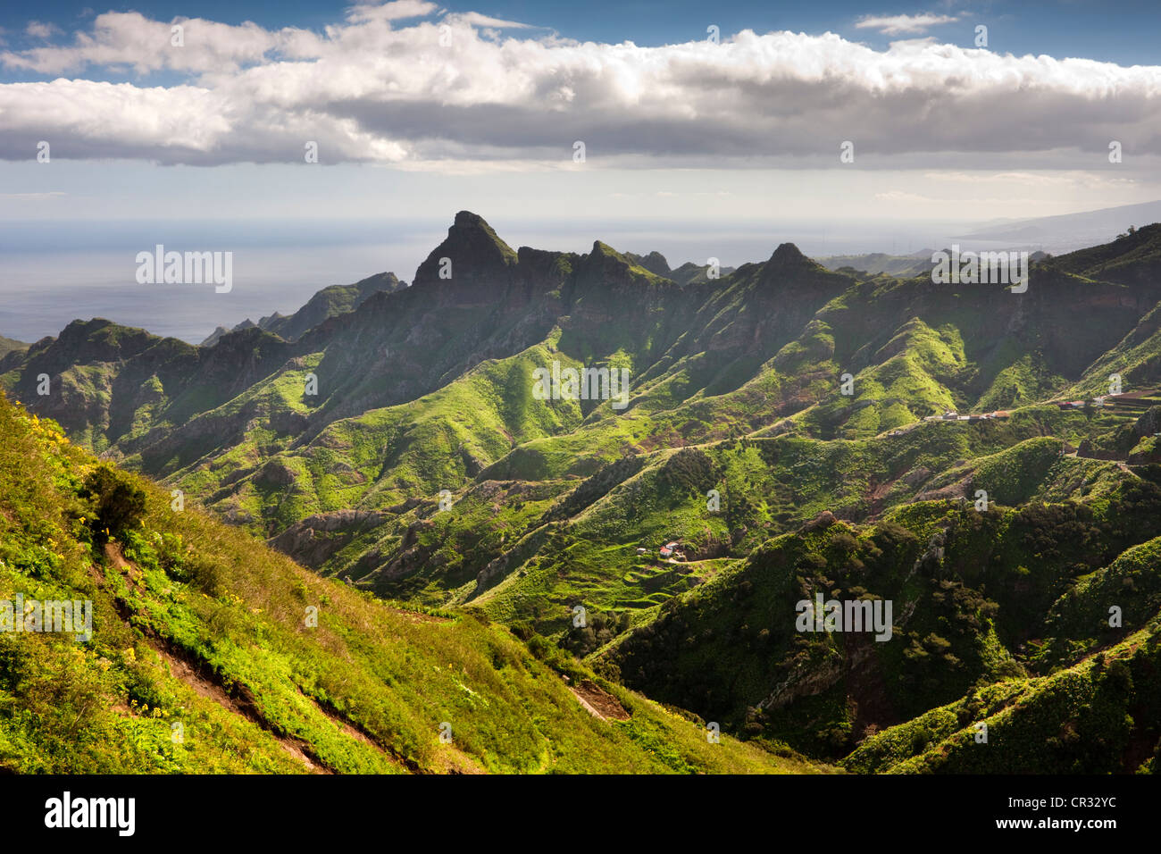 Nel Las Montanas de Anaga, Macizo de Anaga montagne, Tenerife, Spagna, Europa Foto Stock