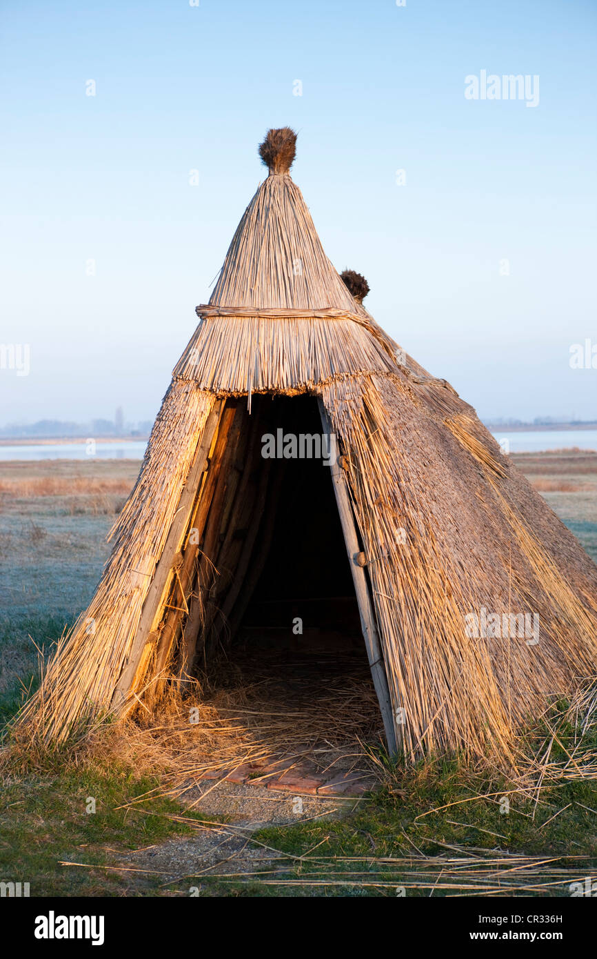 Capanna Reed nel lago di Neusiedl Parco Nazionale Seewinkel vicino a Illmitz, Burgenland, Austria, Europa Foto Stock