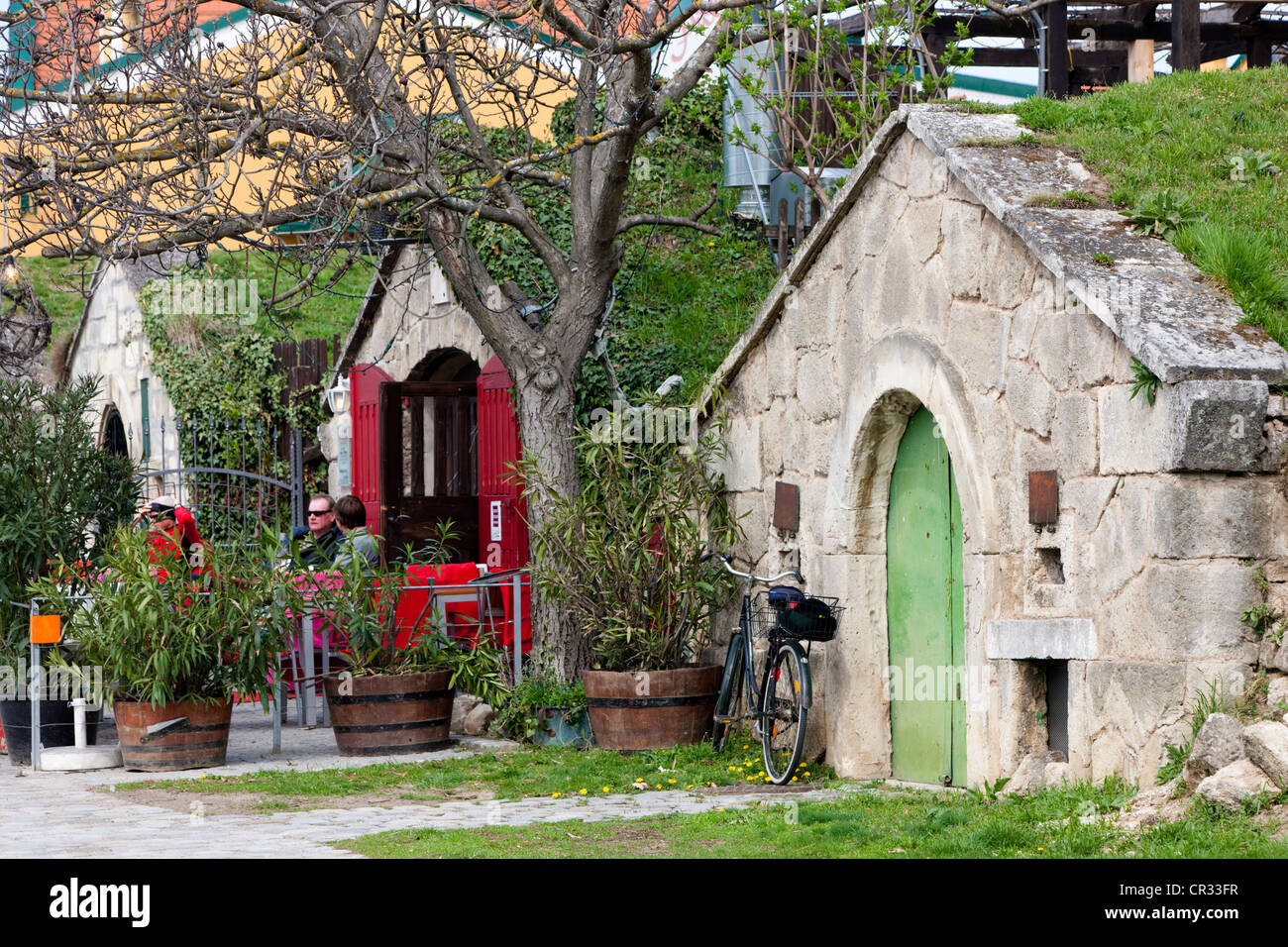 Kellergasse street in Purbach am Neusiedlersee, lago di Neusiedl Parco Nazionale Seewinkel, Burgenland, Austria, Europa Foto Stock