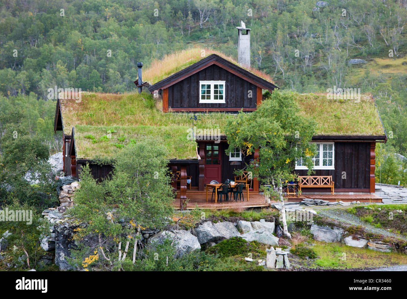 Norwegian cottage con il tetto di paglia, Norvegia, Scandinavia, Europa Foto Stock