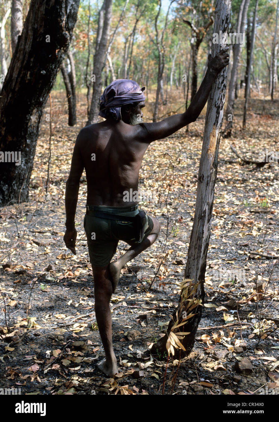 Australia, Territorio del Nord di Arnhem Land, australiana nativa in una posizione di riposo nella foresta Foto Stock