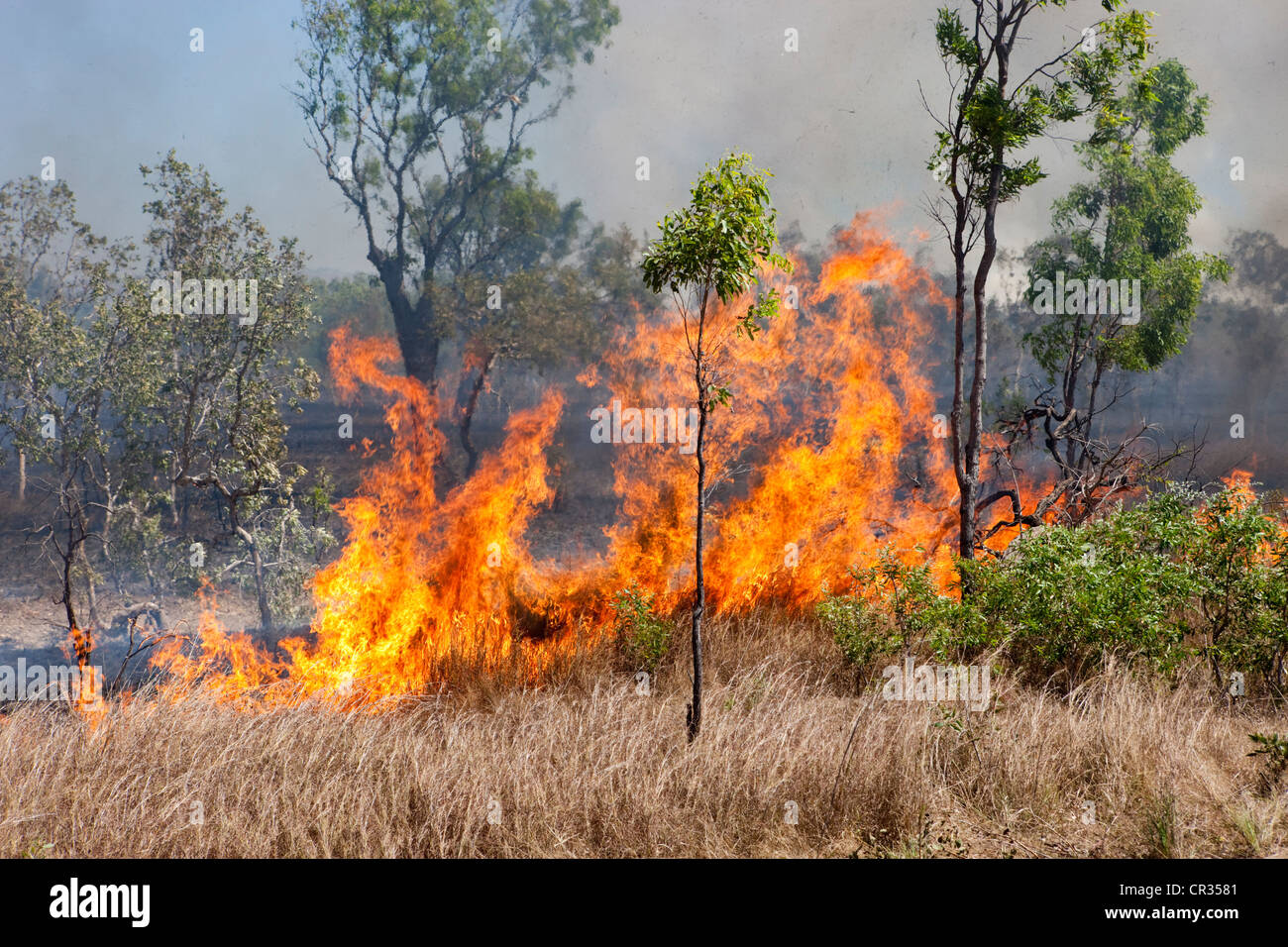 Bushfires, Territorio del Nord, l'Australia Foto Stock