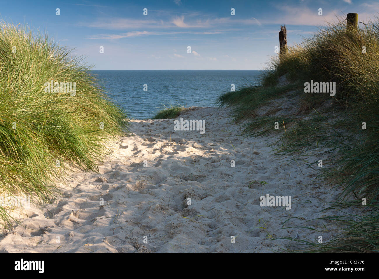 Strada per la spiaggia fiancheggiato con spiaggia in erba e una vista verso il mare a Sylt, Frisia settentrionale, Schleswig-Holstein, PublicGround Foto Stock