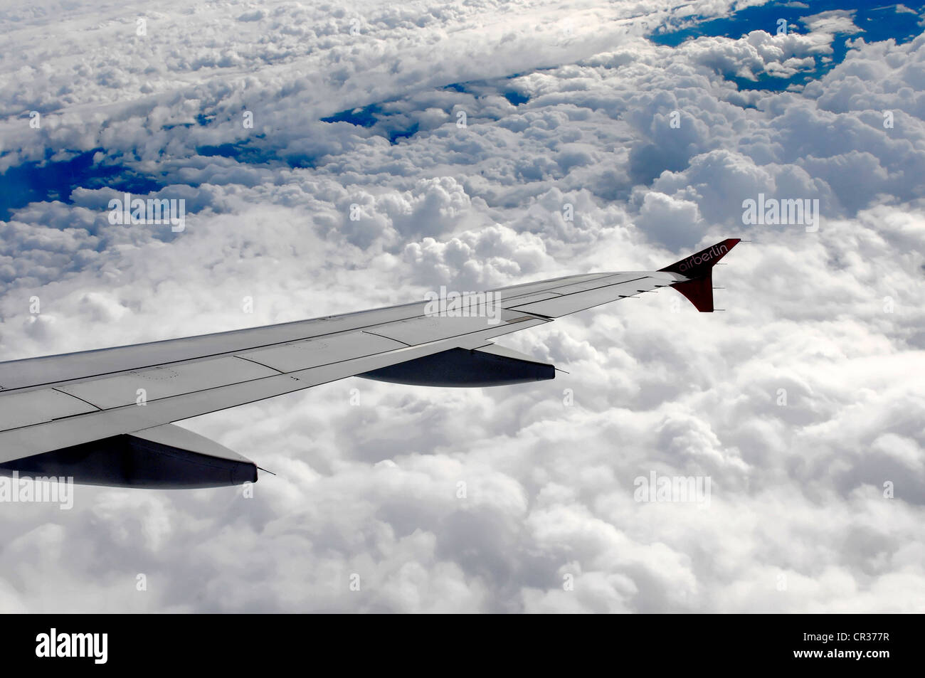Ala destra, Airbus A 319 in volo sopra le nuvole Foto Stock