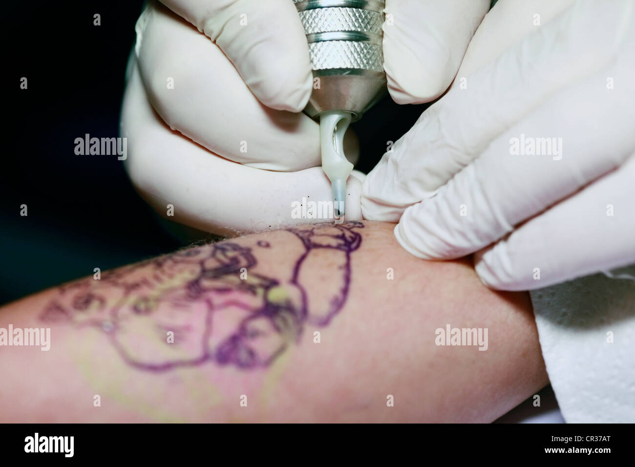 Un tatuaggio artista applicando la sua imbarcazione sulla mano del una femmina Foto Stock