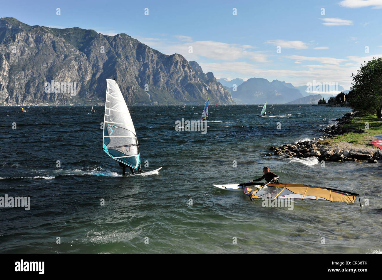 Windsurf sul Lago di Garda, Malcesine, Veneto, Italia, Europa Foto Stock