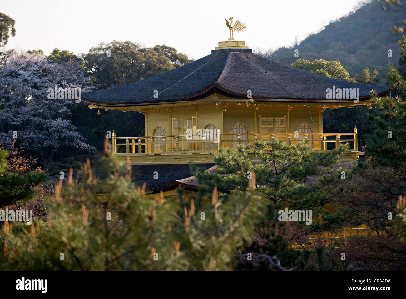 Giappone, isola di Honshu, la regione di Kansai, città di Kyoto, Kinkaku ji Patrimonio Mondiale dell'UNESCO, il Padiglione Dorato Foto Stock