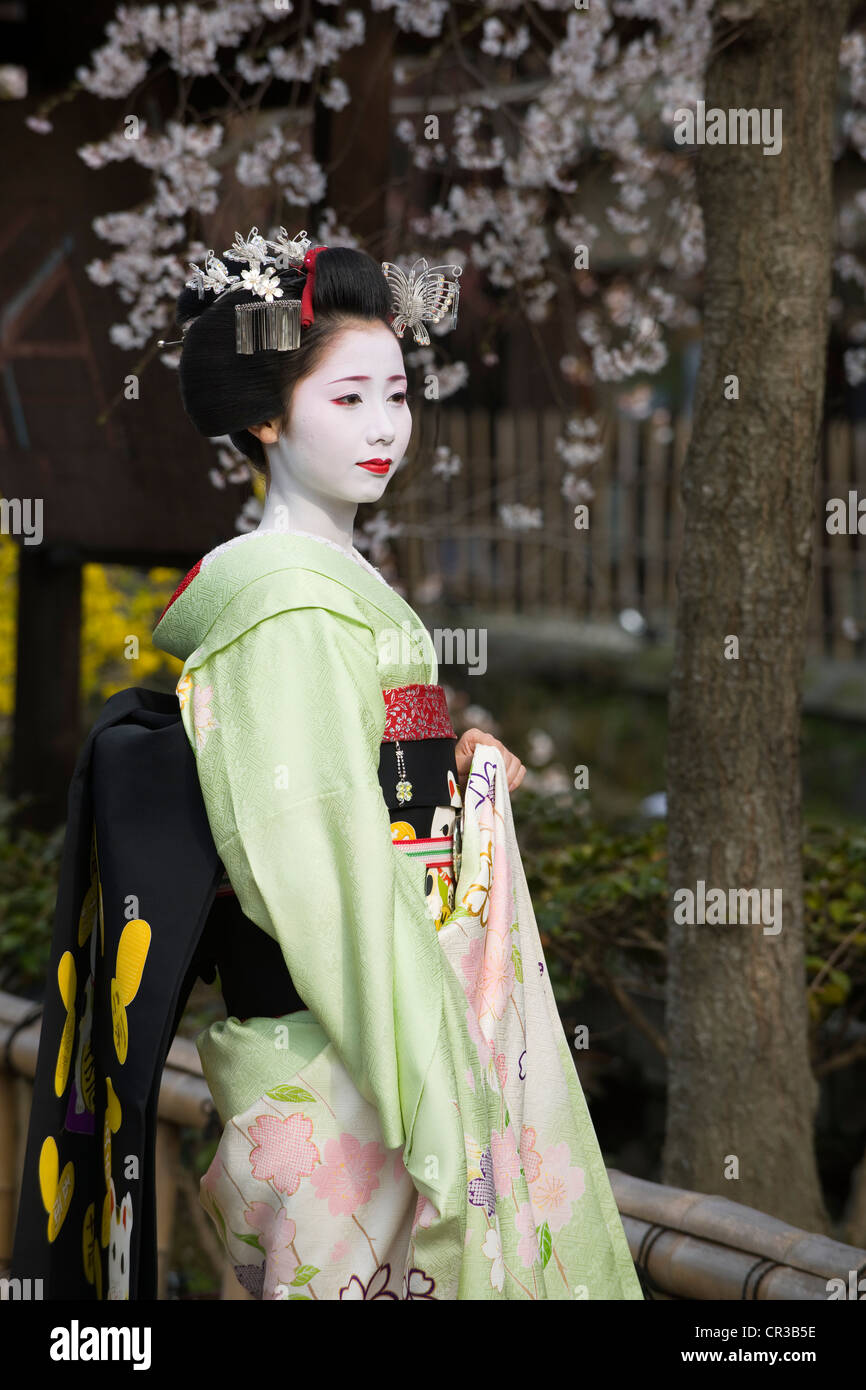 Giappone, isola di Honshu, Kinki regione, città di Kyoto, il quartiere di Gion, geisha Foto Stock