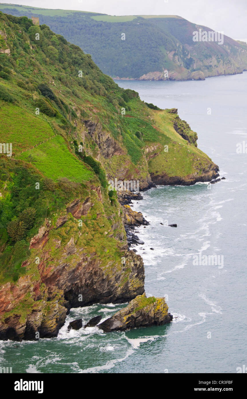 Lynton & Lynmouth,Lynemouth Bay,Valle delle rocce,Nord a piedi sentiero costiero Castle Rock,Exmoore pony,capre,campagna,Devon Foto Stock