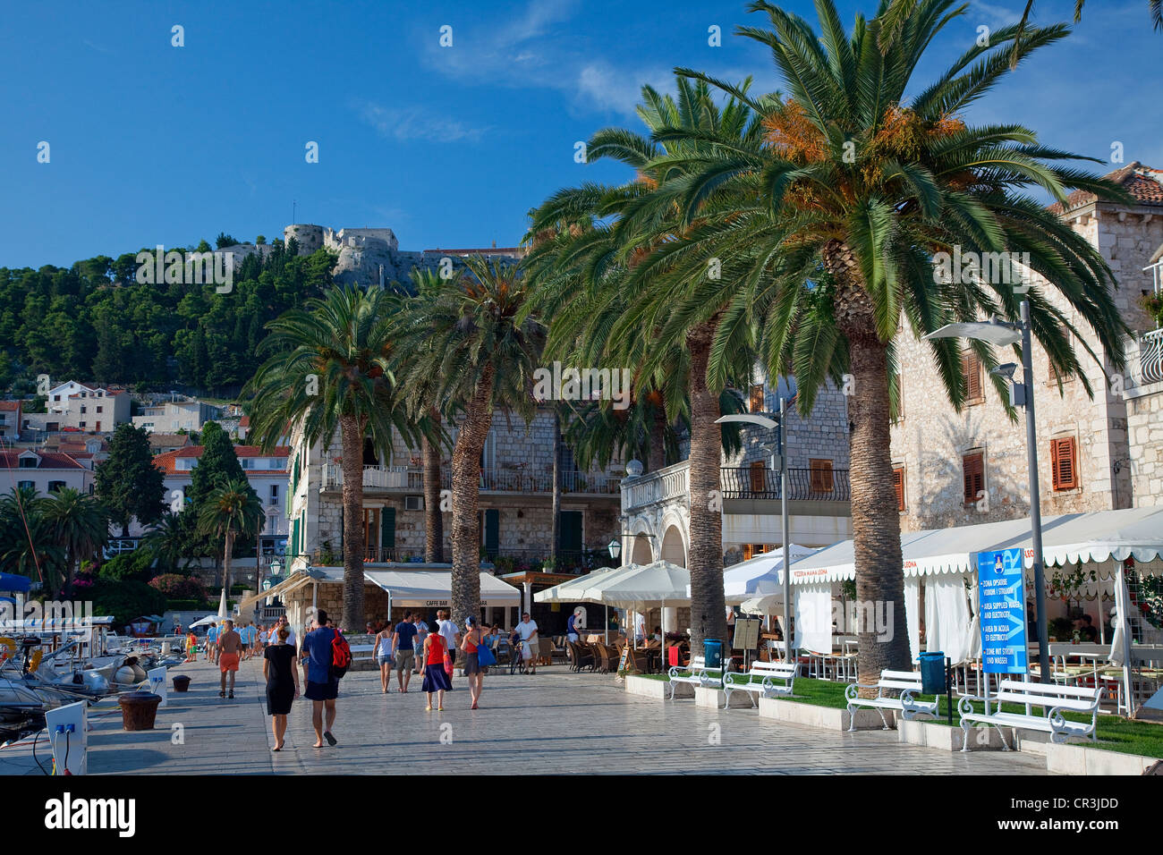 Croazia, Dalmazia, costa dalmata, Isola di Hvar Hvar città Foto Stock