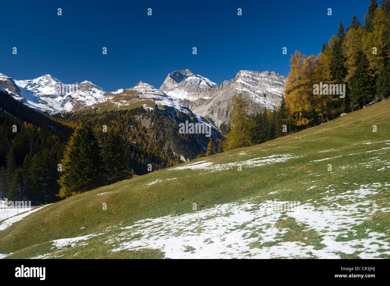 Intorno al lago di Palpuogna, Lai da Palpuogna, con larici autunnali, neve Berguen, Albula Pass del Cantone dei Grigioni, Svizzera Foto Stock