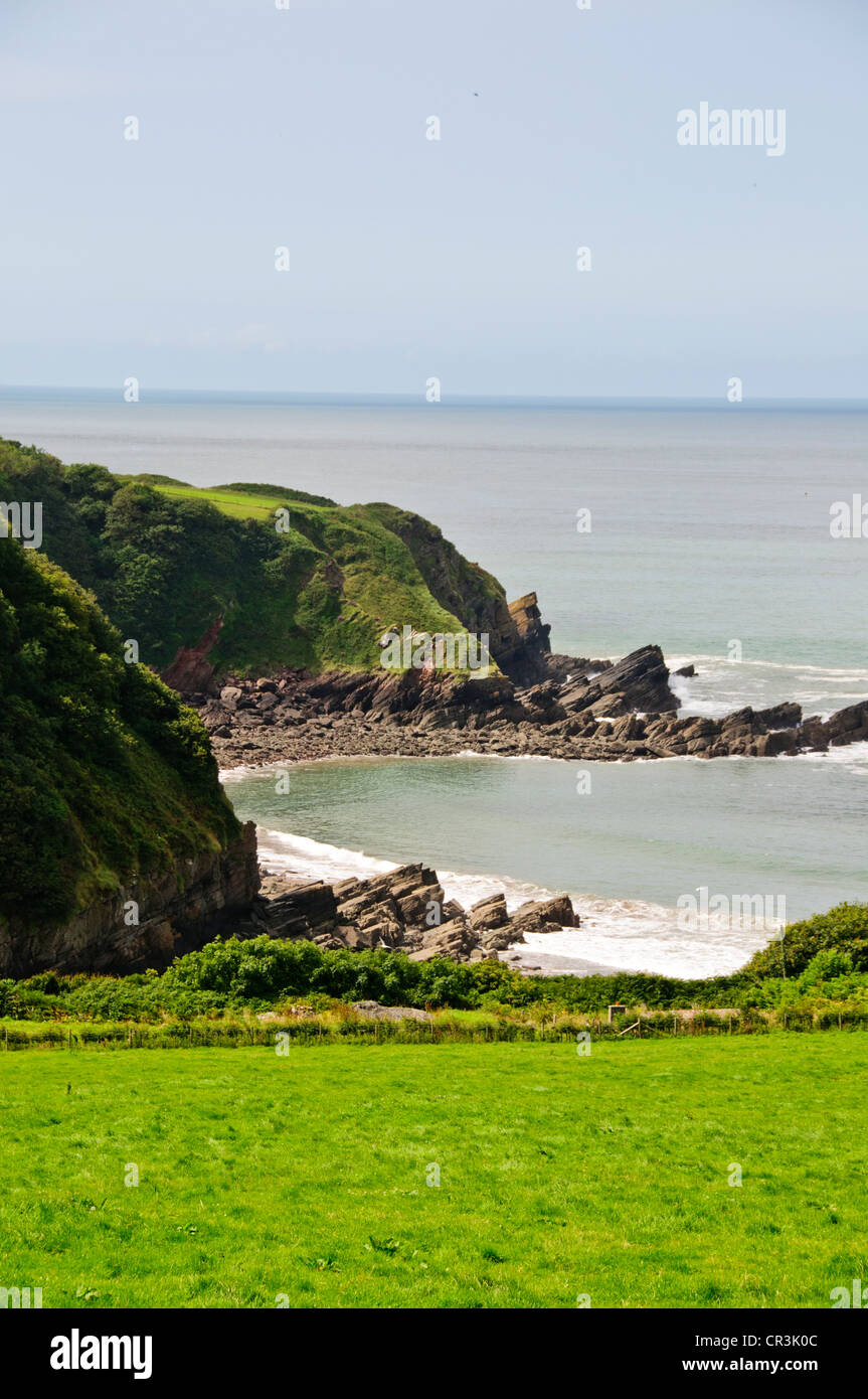 Lynton & Lynmouth,Lynemouth Bay,Valle delle rocce,Nord a piedi sentiero costiero Castle Rock,Exmoore pony,capre,campagna,Devon Foto Stock