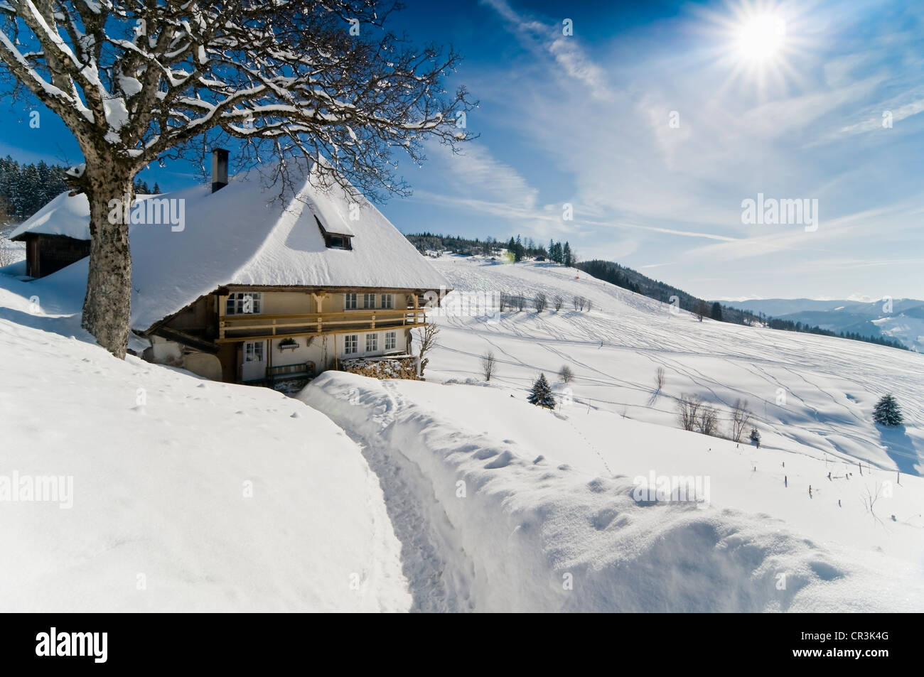 Coperte di neve in agriturismo in Muggenbrunn, Foresta Nera mountain range, Baden-Wuerttemberg, Germania, Europa Foto Stock