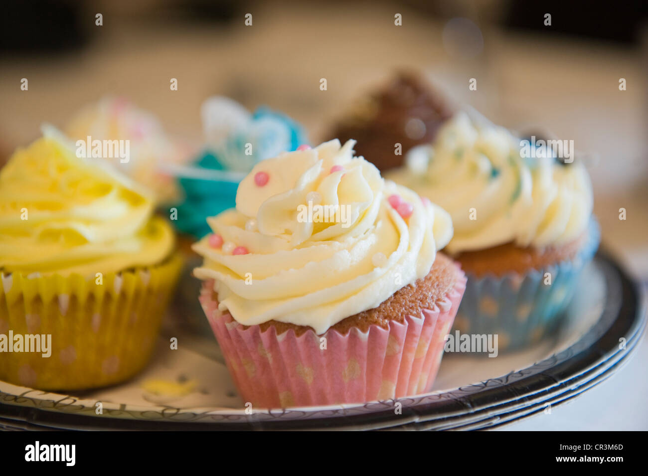 Cup cake Foto Stock