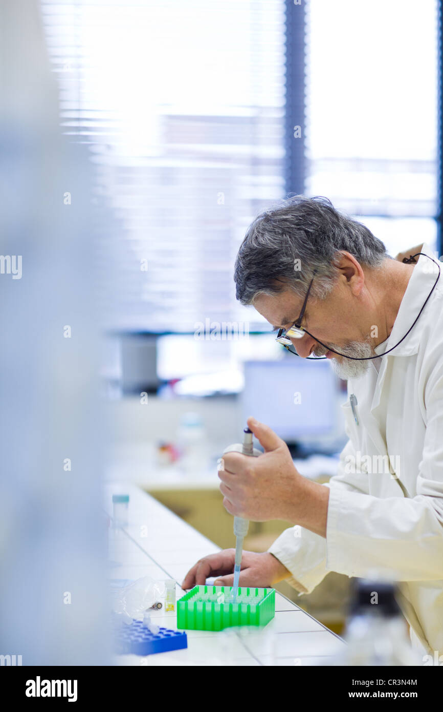 Maschio senior researcher di effettuare attività di ricerca scientifica in un laboratorio (SHALLOW DOF; dai toni di colore immagine) Foto Stock