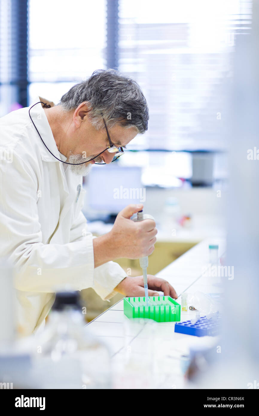 Maschio senior researcher di effettuare attività di ricerca scientifica in un laboratorio (SHALLOW DOF; dai toni di colore immagine) Foto Stock