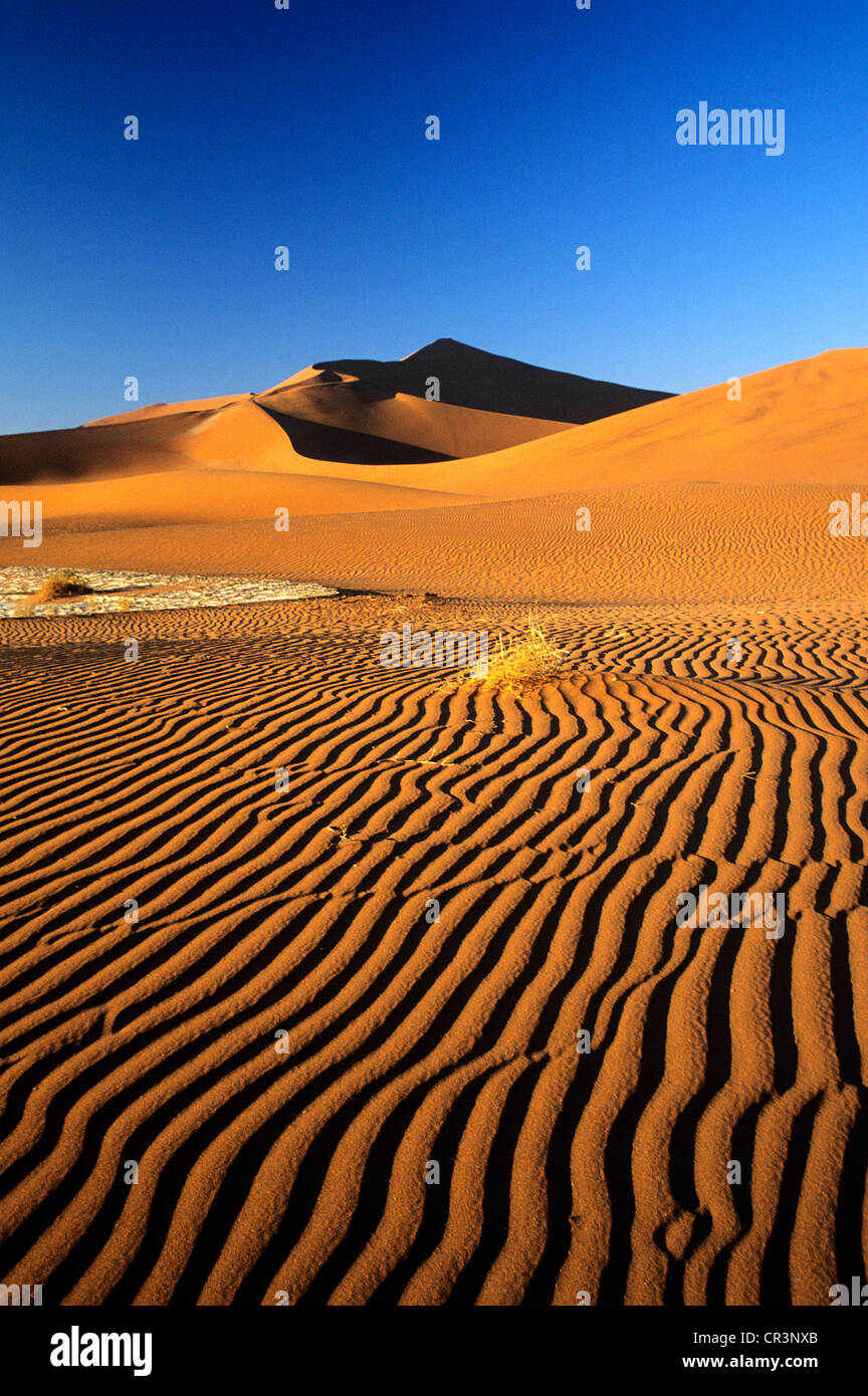 La Namibia, Regione di Hardap, Namib Desert, Namib Naukluft National Park, Sossusvlei, dune di sabbia tra le più alte del mondo Foto Stock