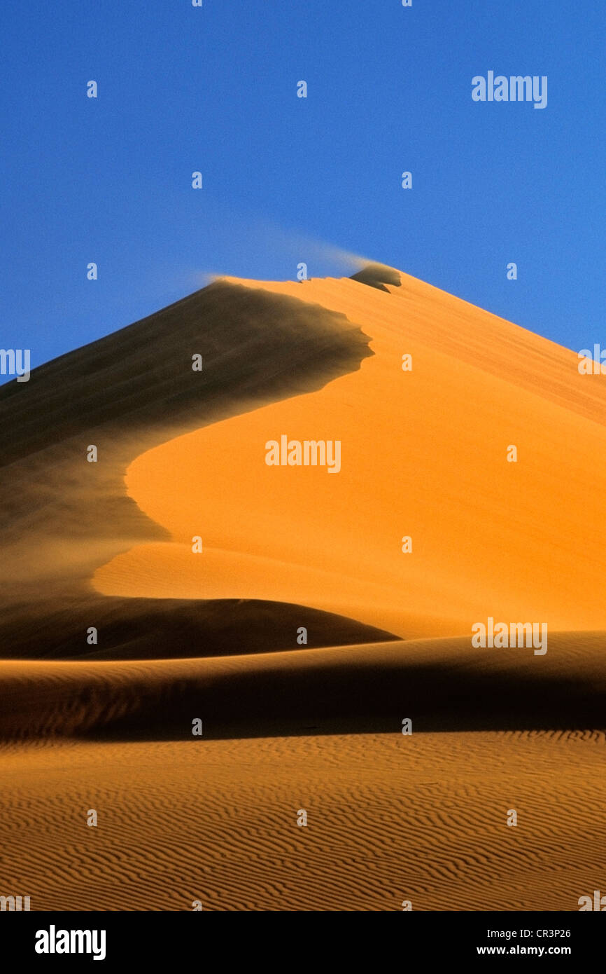 La Namibia, Regione di Hardap, Namib Desert, Namib Naukluft National Park, Sossusvlei, dune di sabbia tra le più alte del mondo Foto Stock