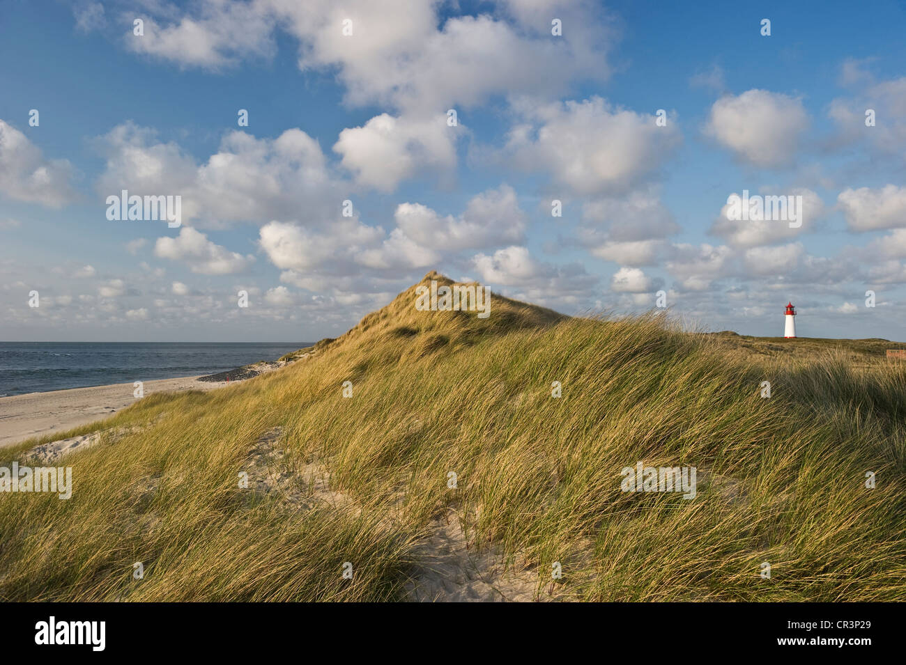 Faro List-West, elenco, isola di Sylt, Schleswig-Holstein, Germania, Europa Foto Stock