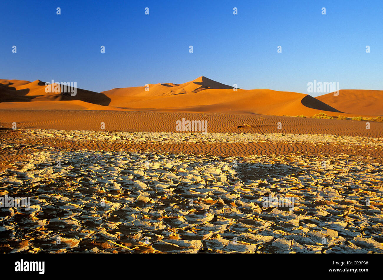 La Namibia, Regione di Hardap, Namib Desert, Namib Naukluft National Park, Sossusvlei, dune di sabbia tra le più alte del mondo Foto Stock