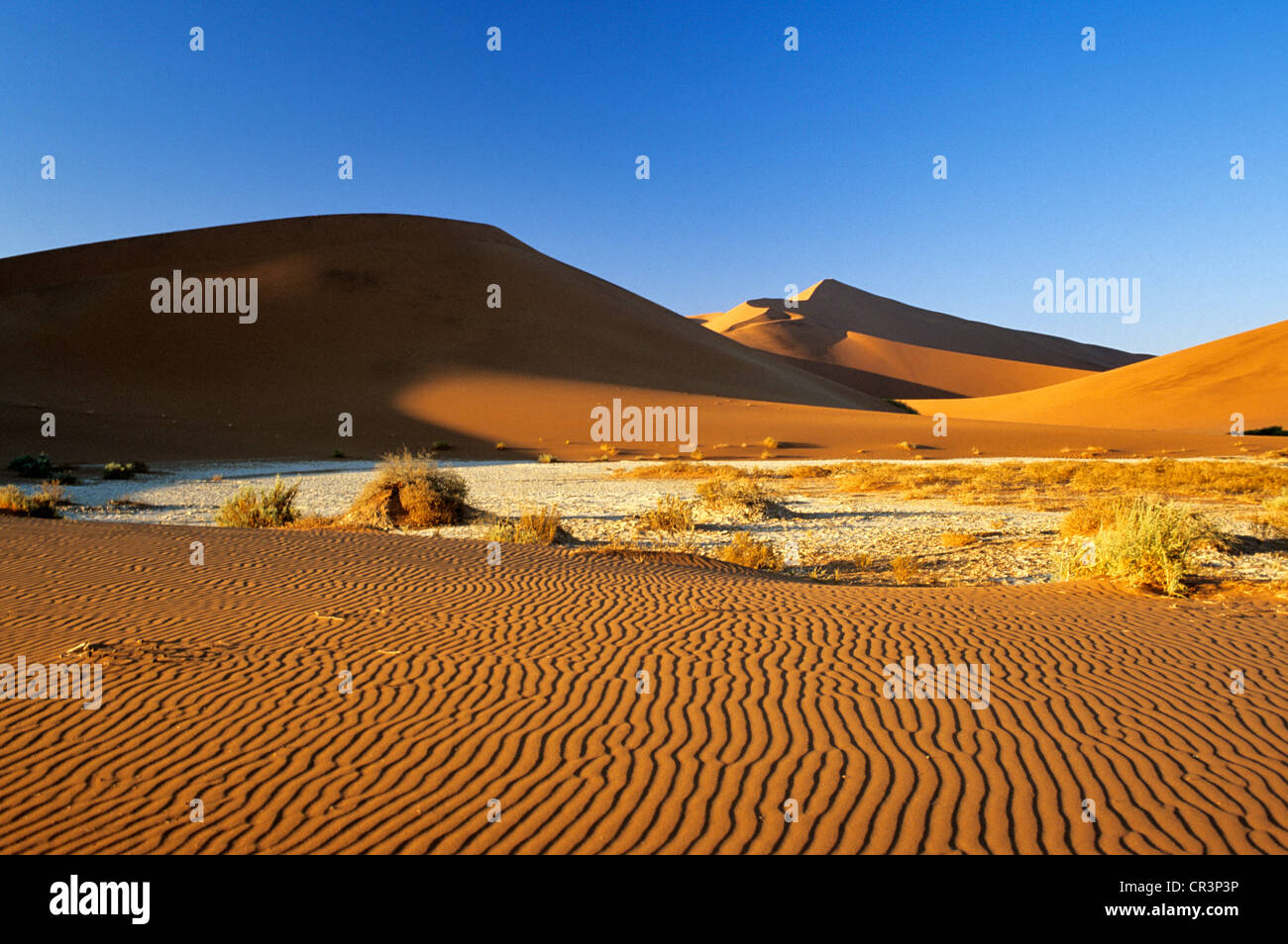 La Namibia, Regione di Hardap, Namib Desert, Namib Naukluft National Park, Sossusvlei, dune di sabbia tra le più alte del mondo Foto Stock