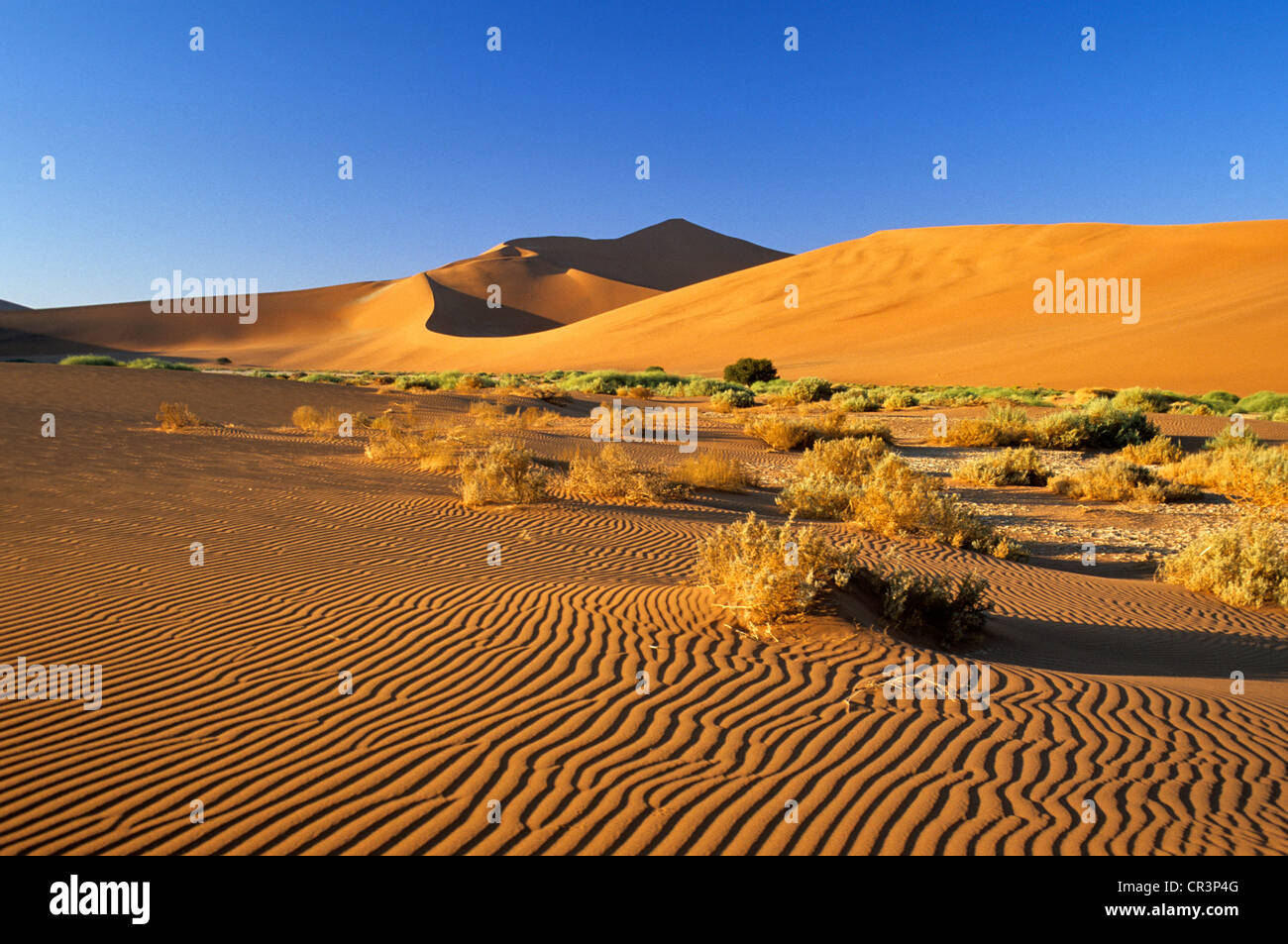 La Namibia, Regione di Hardap, Namib Desert, Namib Naukluft National Park, Sossusvlei, dune di sabbia tra le più alte del mondo Foto Stock