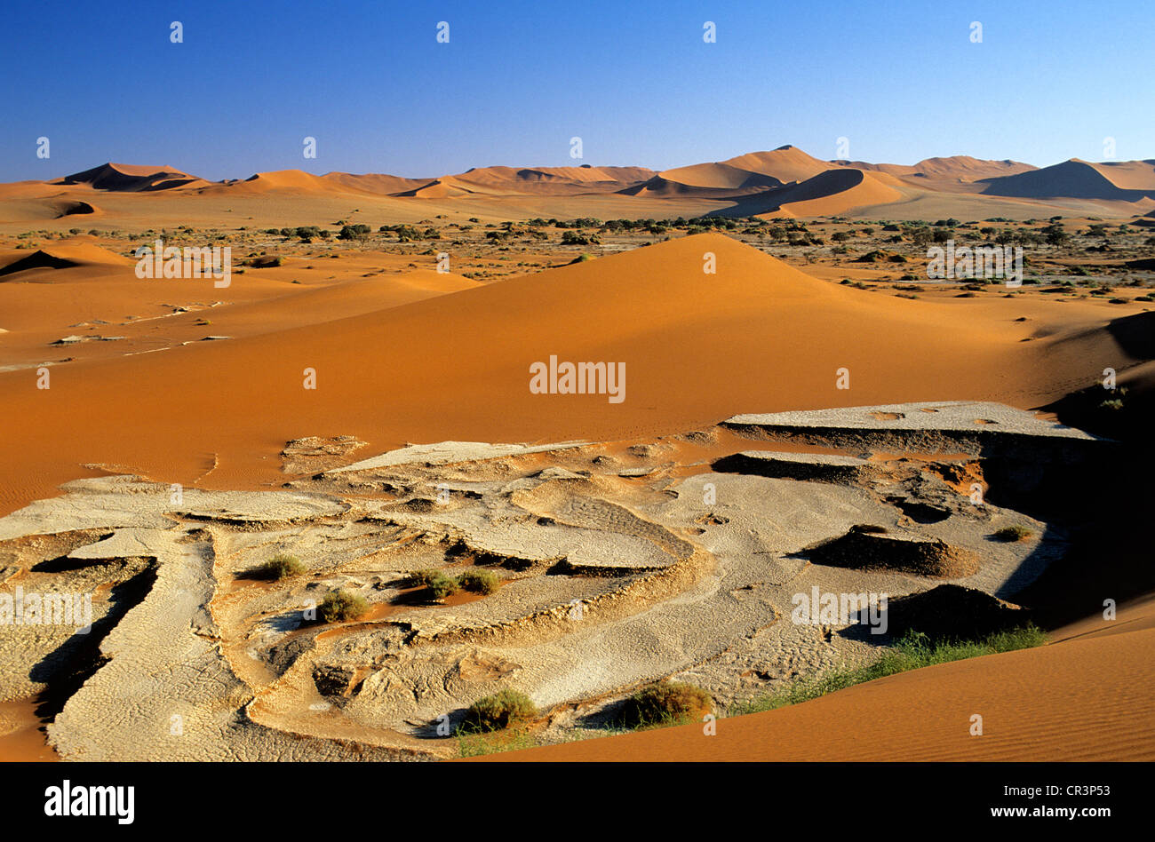 La Namibia, Regione di Hardap, Namib Desert, Namib Naukluft National Park, Sossusvlei, dune di sabbia tra le più alte del mondo Foto Stock