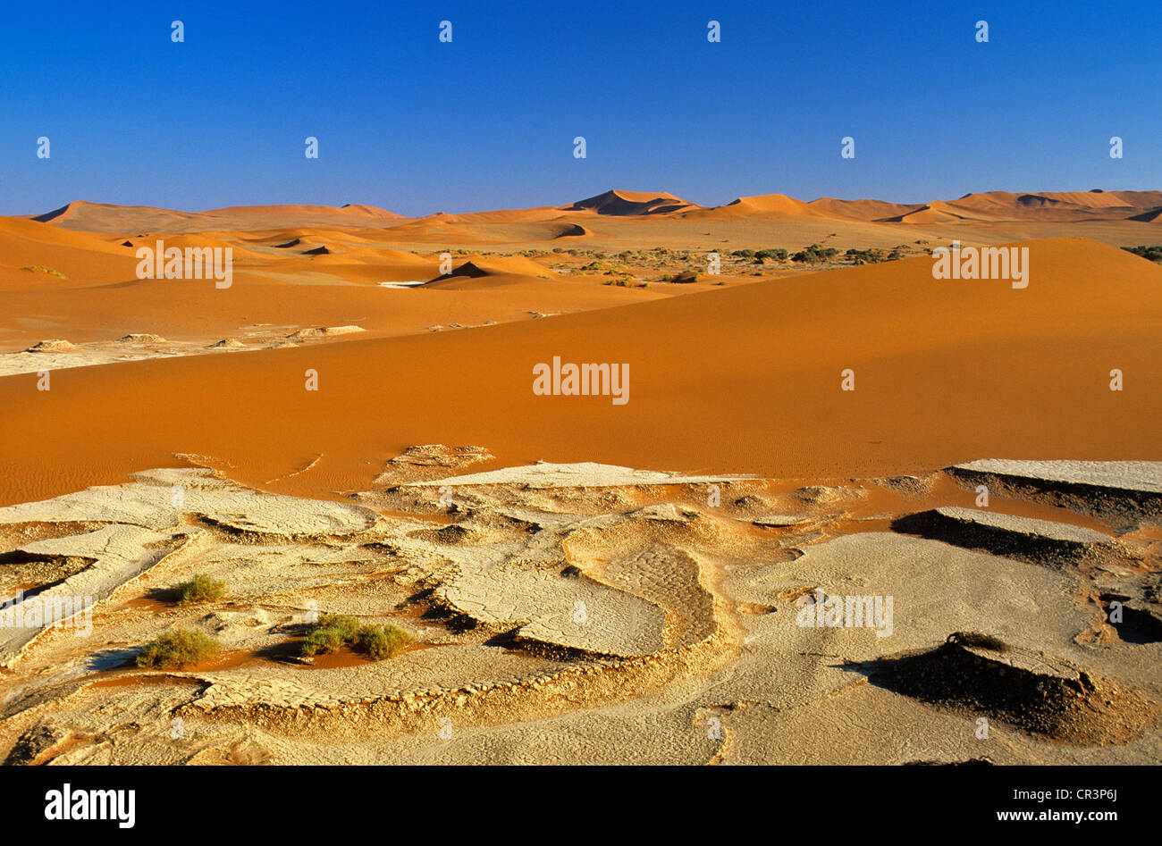 La Namibia, Regione di Hardap, Namib Desert, Namib Naukluft National Park, Sossusvlei, dune di sabbia tra le più alte del mondo Foto Stock