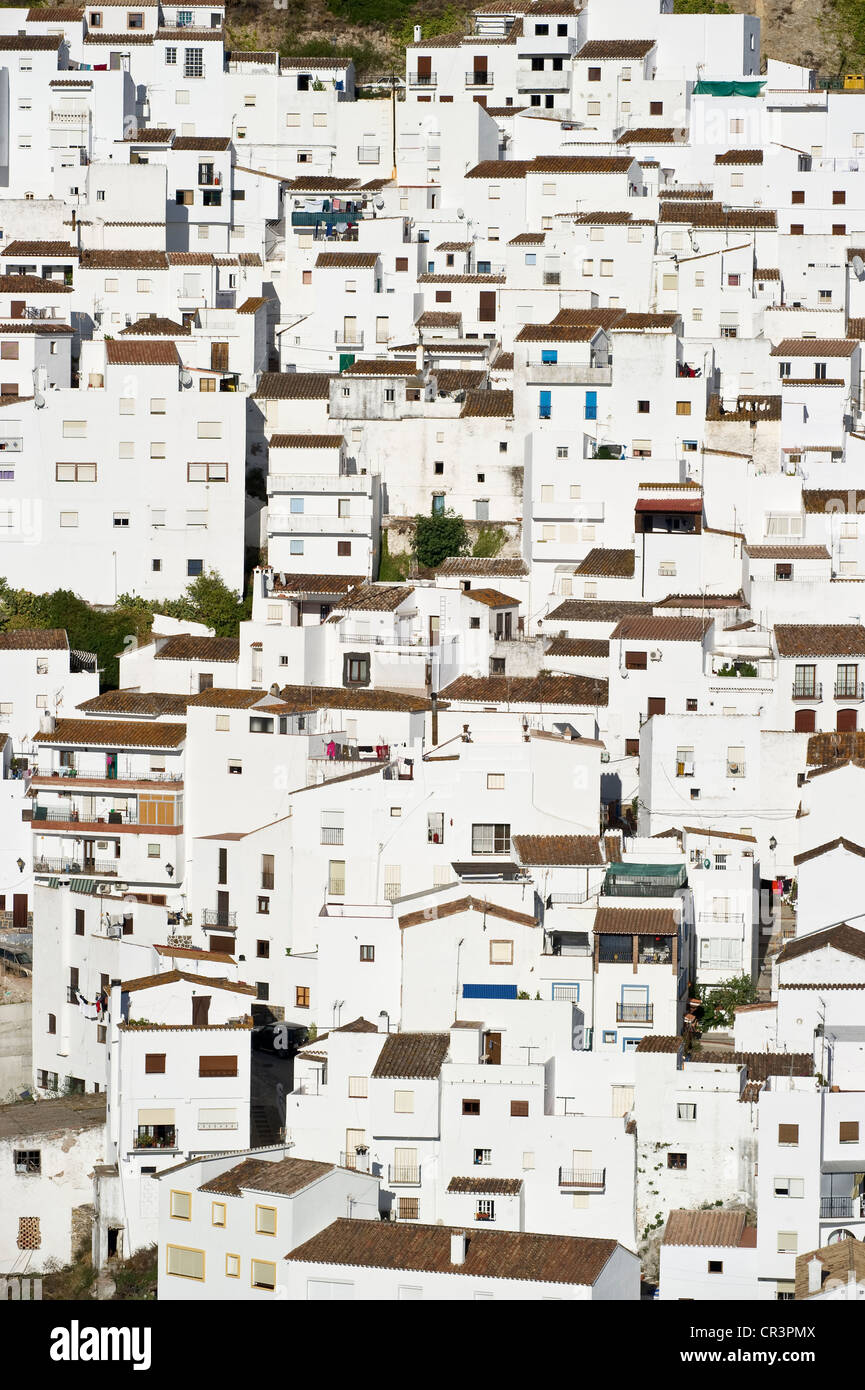 Casares, villaggio bianco in Marbella, Andalusia, Spagna, Europa Foto Stock