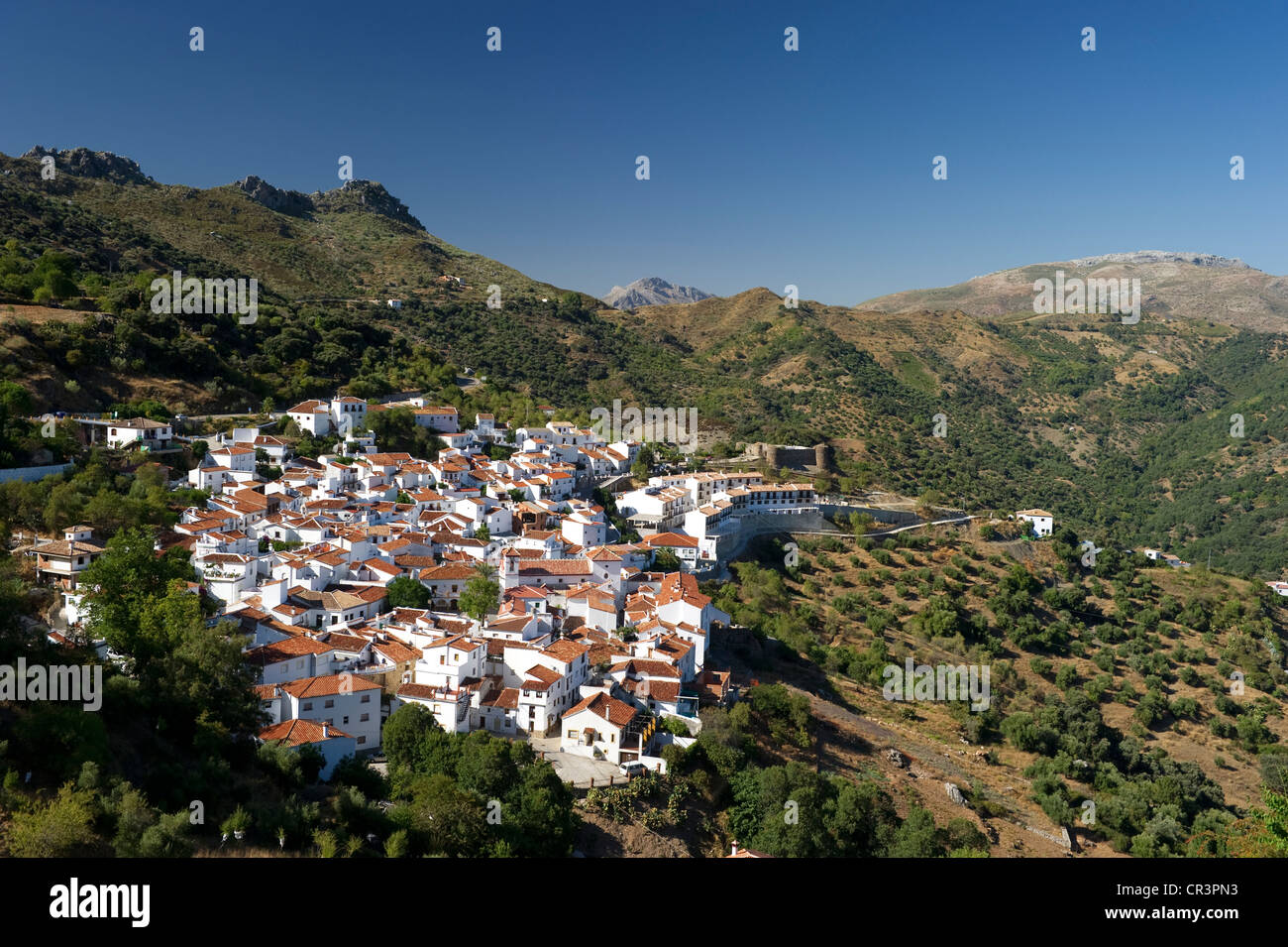 A Gaucin, villaggio bianco in Marbella, Andalusia, Spagna, Europa Foto Stock