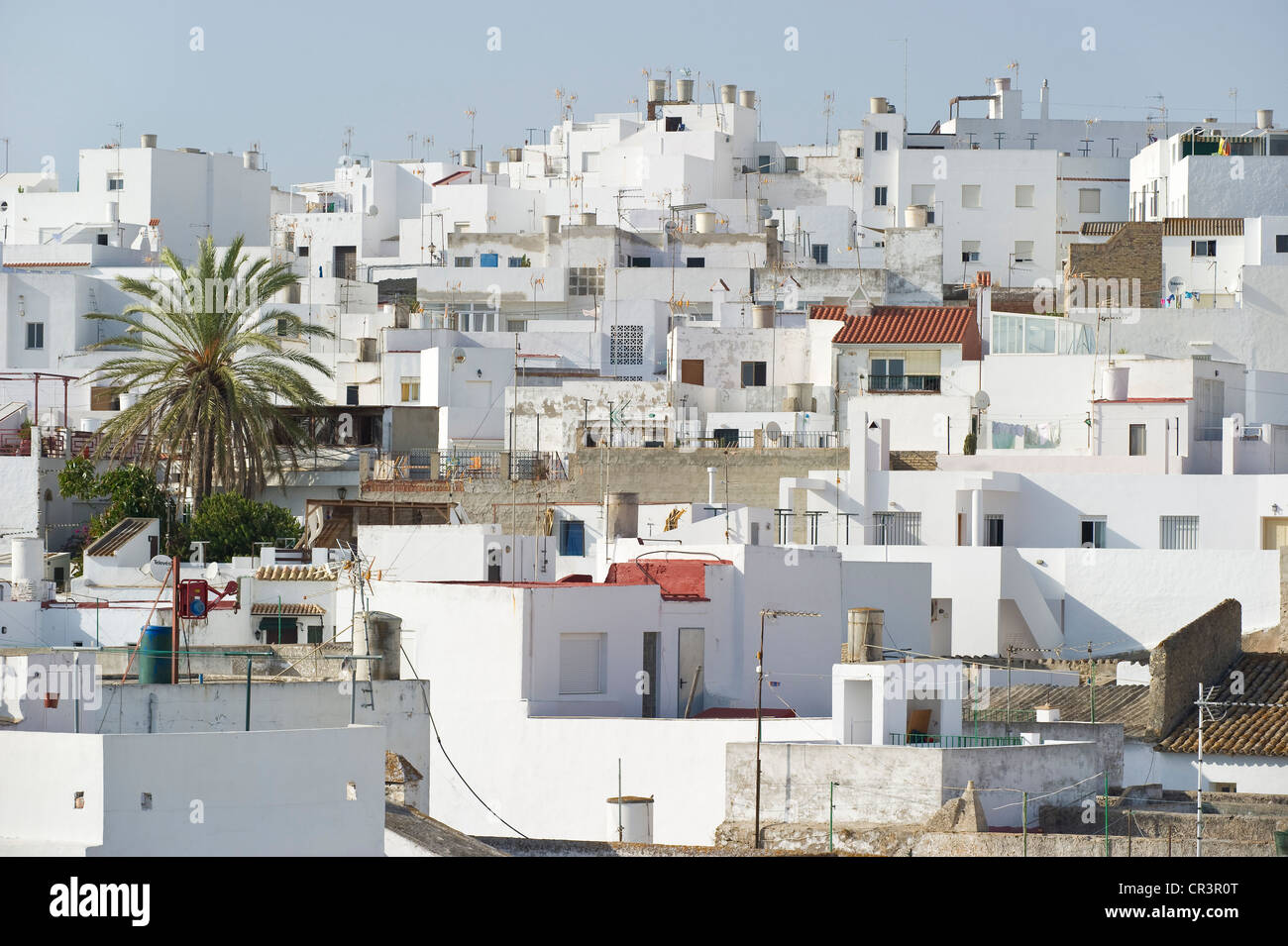 Conil de la Frontera, Costa de la Luz, Andalusia, Spagna, Europa Foto Stock
