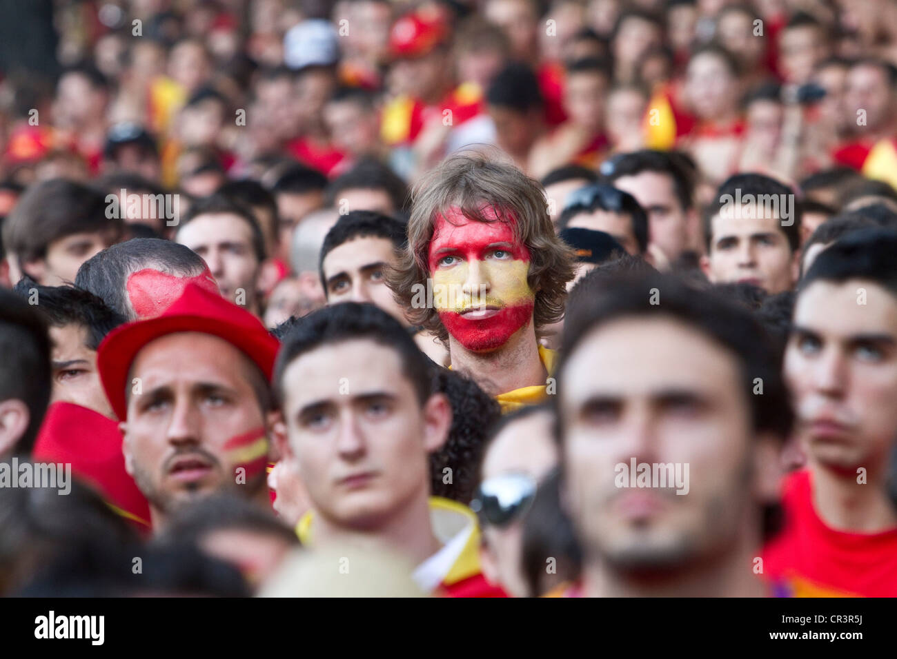 I sostenitori di spagnolo durante il match finale, la finale della Coppa del Mondo FIFA 2010, Madrid, Spagna, Europa Foto Stock